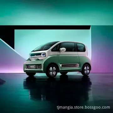 2023 Low Price New Electric Car Wuling Baojun Kiwi Made in China High-Speed Mini Electric Car for Adult Driving
